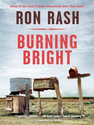 Burning Bright - ebook